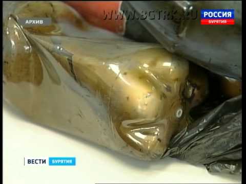 Сотрудники МВД Бурятии перекрыли канал поставки героина
