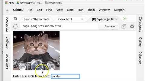 GIPHY API App Finale