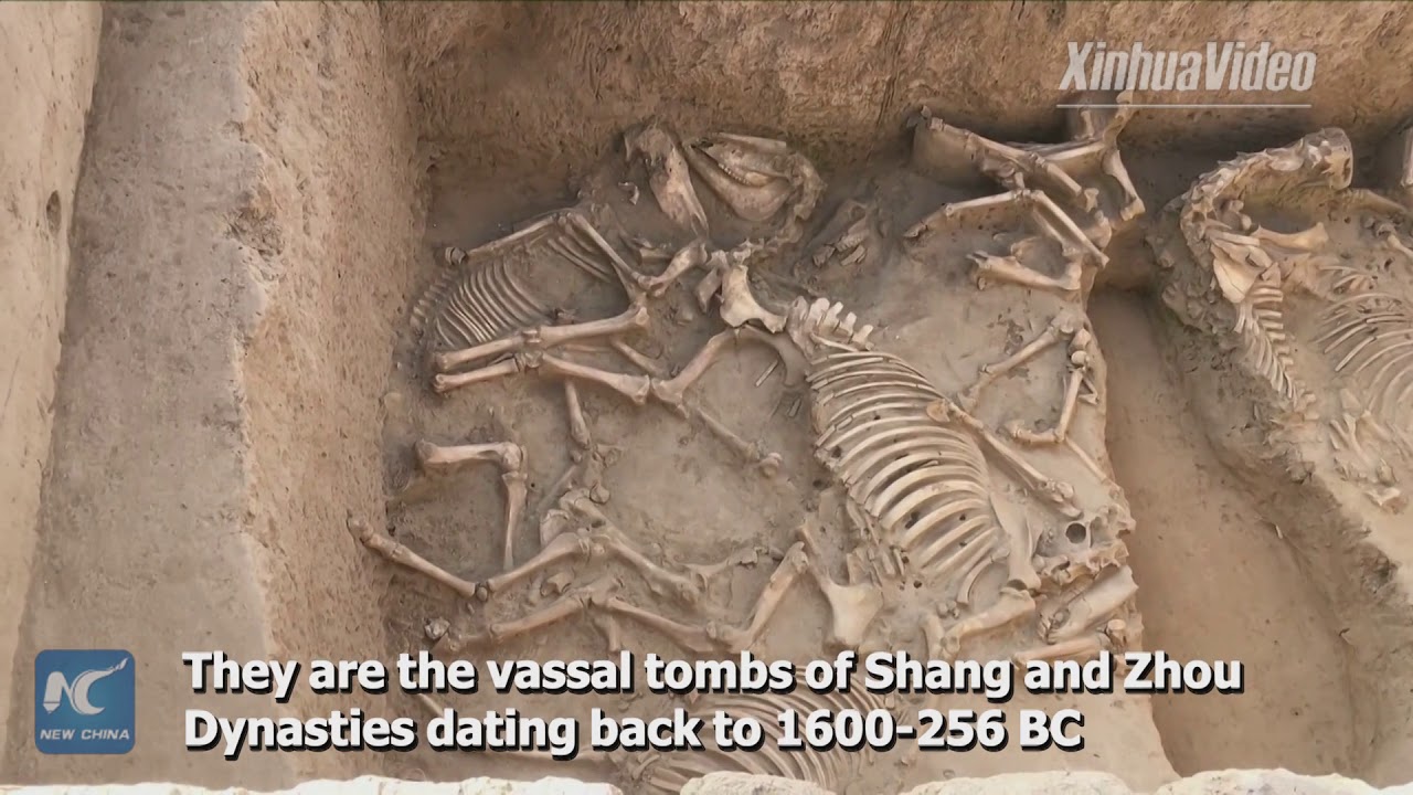 Sacrificed Humans Found In Ancient Chinese Tombs From The, 43% OFF