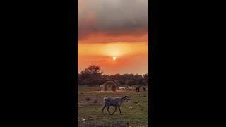 CYPRUS. MOUNTAIN. SUNSET.