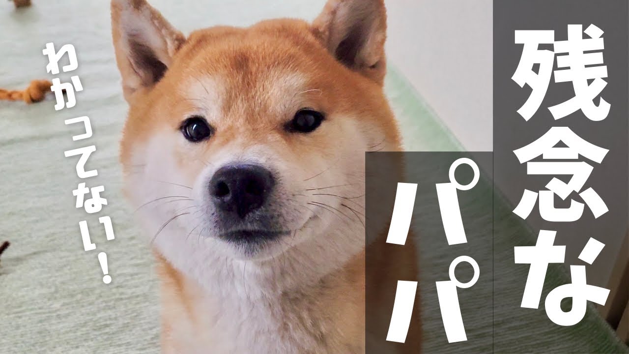 maxresdefault.jpg