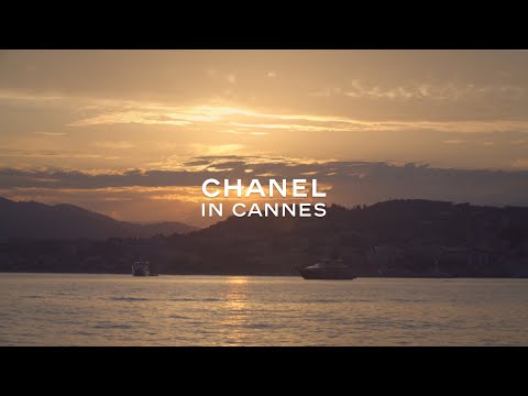 Vídeo: Como O Festival De Cinema De Cannes Terminou