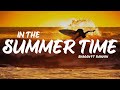 Capture de la vidéo Shaggy Ft Rayvon - In The Summertime (Lyrics)