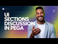 Pega User Input Controls | UI Sections Discussion in Pega | Pega Tutorial