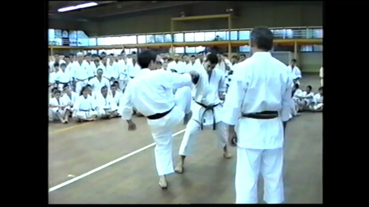 Osaka Shihan en Argentina -         Heian Nidan - Explicación y aplicación
