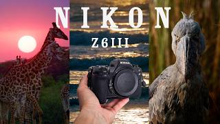 The camera I stopped thinking about - Nikon Z6III