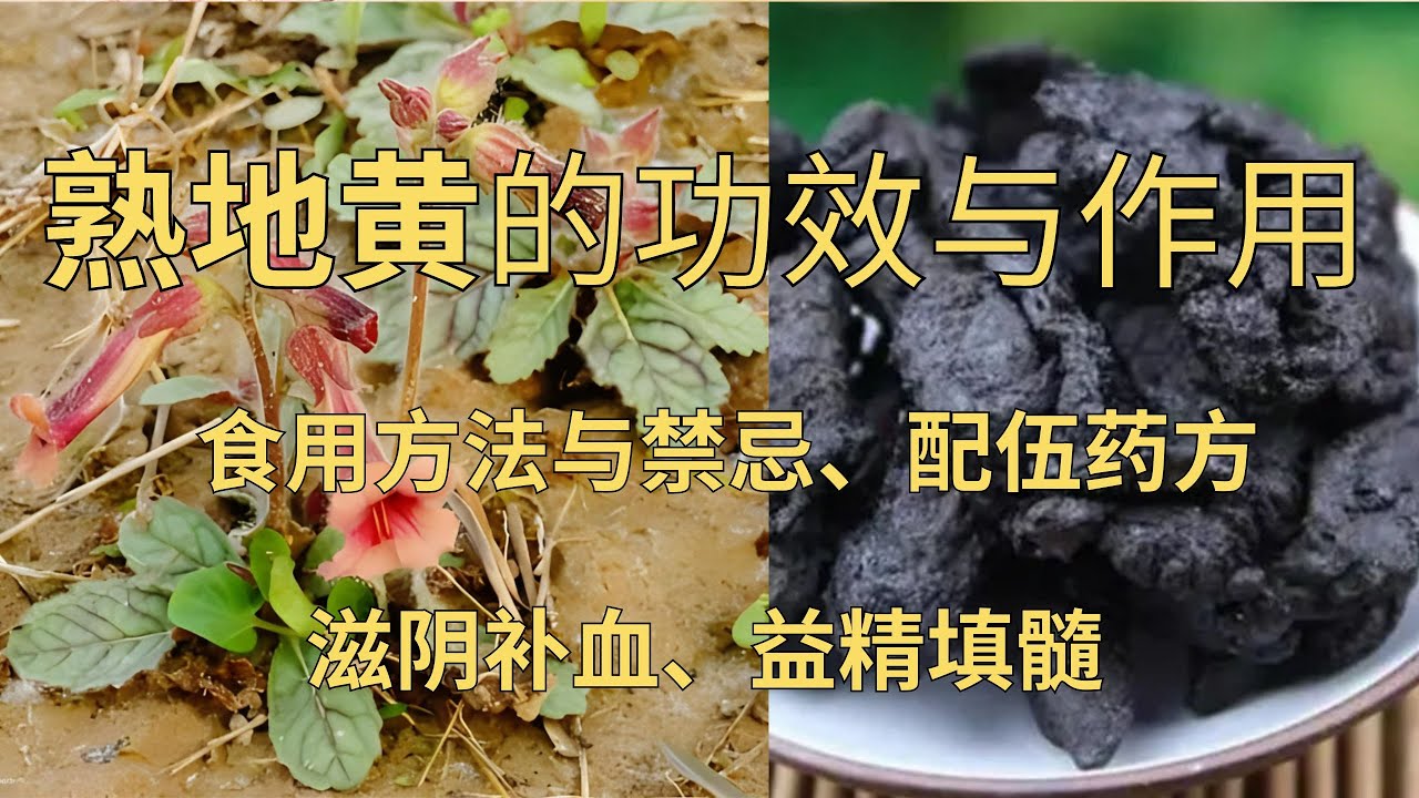 地黄 熟地黄 違い – 乾地黄と鮮地黃の違い – 八味地黄丸の商品解説|八味地黄丸A – SNEOCA
