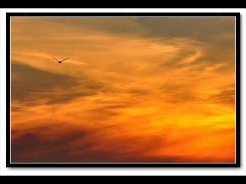 在 YouTube 上觀看「頌歌響遍 Carol to Ye Lord」