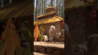 Devalsari 🌳🌲 #shorts #natureshorts #viralvideo #ytshorts #youtubeshorts #temple #devalsari
