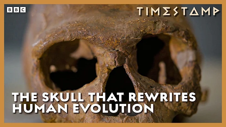 The 300,000-Year-Old Fossil That Completely Rewrites Human History | Human | BBC Timestamp