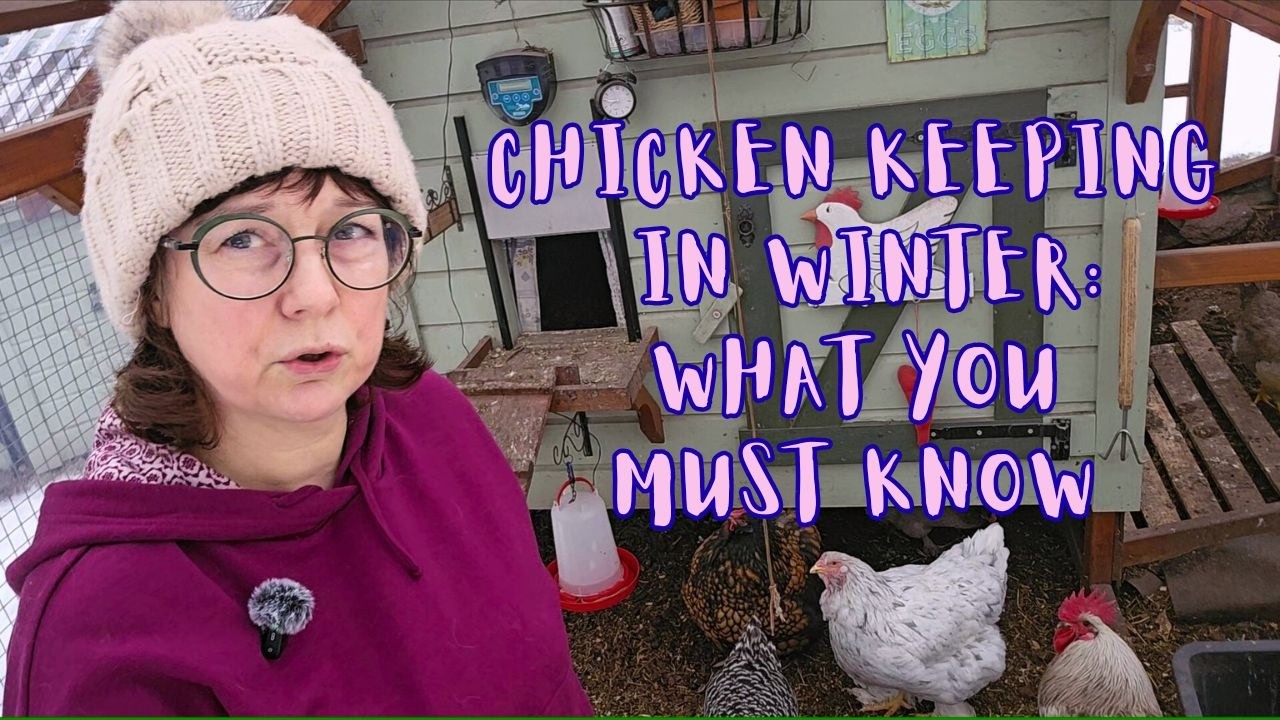 Chicken Keeping in Winter: What You MUST Know