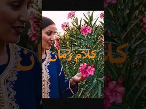 قالو ناس زمان الزين فالدفلة وعروقها حا رين