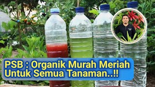 Agar Tanaman Tumbuh Sehat Dan Cepat Berbuah Bakteri Fotosintesis Pupuk Organik Penyubur Tanaman