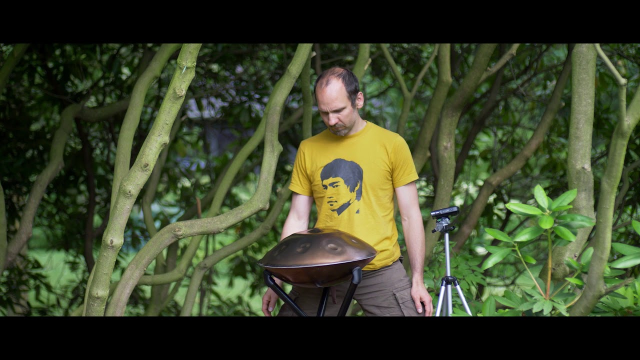 "Nature" - played on a Taopan Handpan - Mini Stainless 46cm