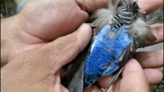 Bw hago safely delivered to FaisalAbad 