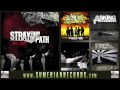 Stray From The Path - The White Flag
