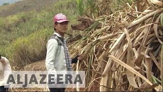 Myanmar fighting takes toll on Shan State civilians screenshot 4