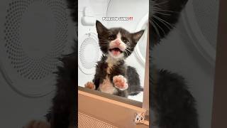 Whoopie pleads innocent 😭🙀‼️