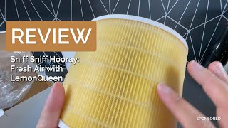 LEMONQUEEN CORE 200S AIR FILTER REVIEW