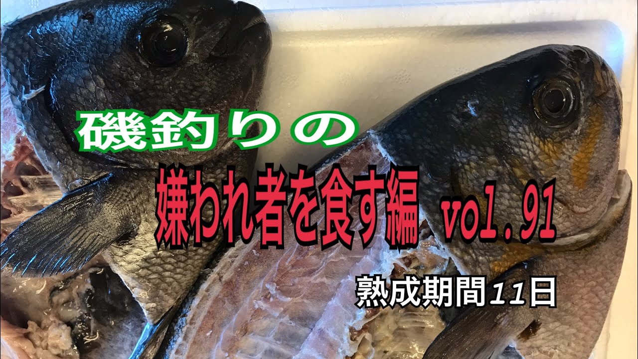 磯釣りの嫌われ物を食す編 Vol 91 Youtube 磯釣りの嫌われ物を食す編 Vol 91 Youtube
