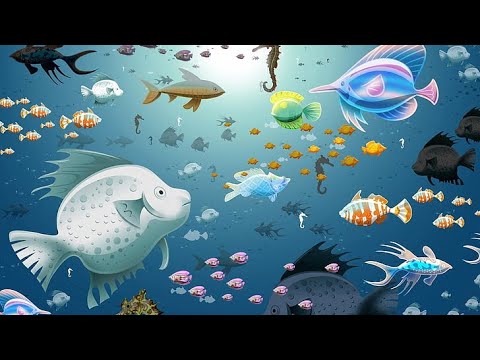 How many fish can you see? [drawing edition] - YouTube
