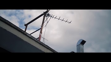 11.  2F - DSM (Mashup Video)