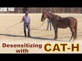 Desensitizing Using CAT-H