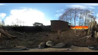 360 Tour of Reasheath's Mini Zoo