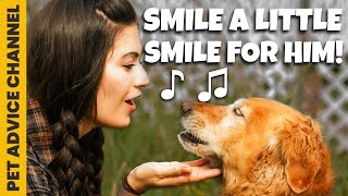 The benefits of smiling at your dog by Pet Advice Channel 11 views 2 years ago 5 minutes, 11 seconds