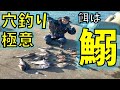 穴釣りで過去一の釣果が出たので極意教えます！ポイント、仕掛け、餌なども紹介します