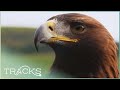 Bird’s Eye view of the Scottish Highlands | Griff's Great Britain | TRACKS