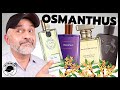 TOP 15 OSMANTHUS FRAGRANCES | Osmanthus Flower In Fragrances Smell Like Stone Fruit + Leather