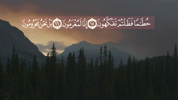 تلاوة خاشعة بصوت القارئ عمر عبدالله سورة الواقعة
