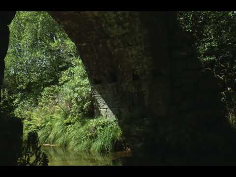 Gentle Flowing River under an Ancient Bridge: Birds Singing and Water Sounds