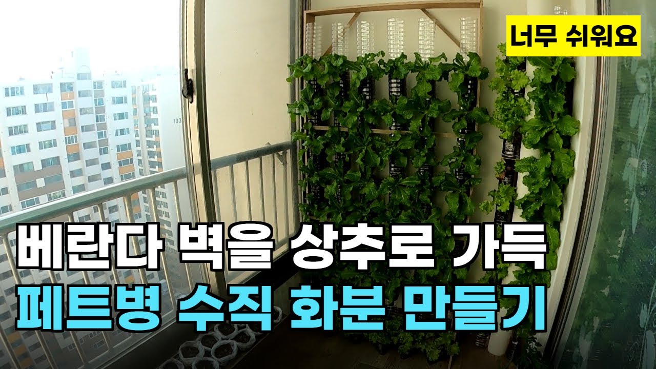 87.베란다 벽을 상추로 가득 채웠습니다. 페트병 수직 화분 만드는 방법