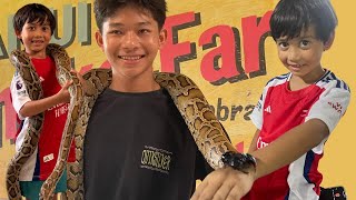 A change of plans and this is scary! in Koh Samui, Thailand