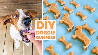 The best 17 how to make gummy dog treats
