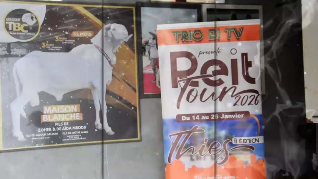 🇸🇳REIT TOUR 🇸🇳BERGERIE TBC✅🔥