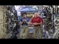 The final frontier: astronauts on ISS tell euronews about humanity's future in space