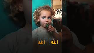 انشود يا اهل غزة كبري نشيد غزة
