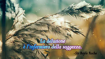 Cosa dire per una delusione d'amore?
