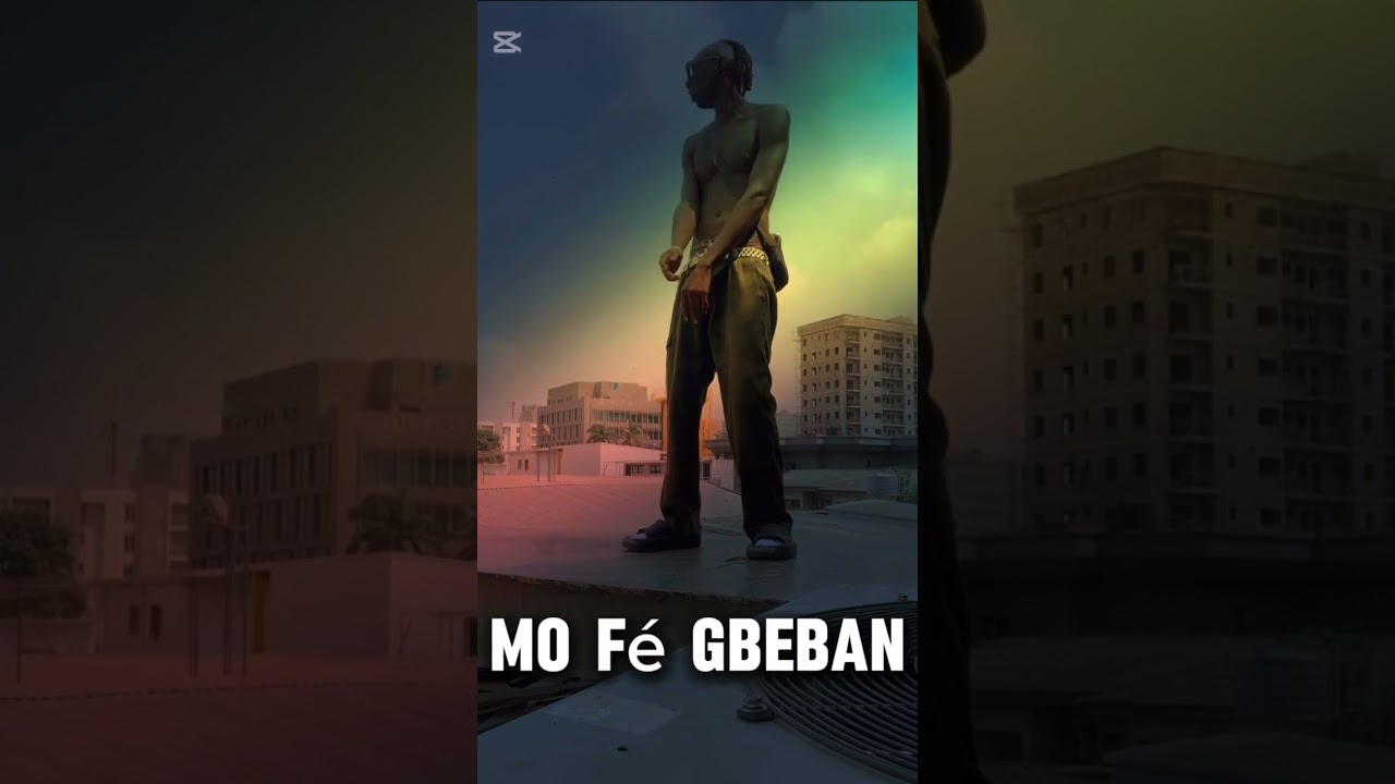 No Carry Gun Out Now 