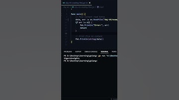 Reading Files in GoLang 😎 | Day 65 of 90 Days Challenge 💻