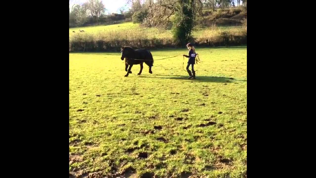 Patch the pony youtube