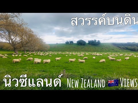 วีดีโอ: 10 สถานที่ท่องเที่ยวที่ดีที่สุดในกิสบอร์น นิวซีแลนด์