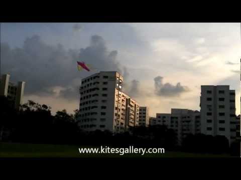 3.4m Delta Vector Power Kite.