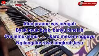 PRAU LAYAR KARAOKE  KOPLO VERSION Rian N KEY v240P