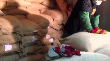 Unloading green coffee