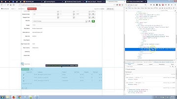 How to hide a child tab if a lookup field meets a certain condition