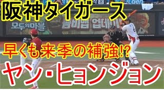阪神タイガースにニュース!?補強にヤン・ヒョンジョン!?って来季!?よく当たっちゃってますけど!